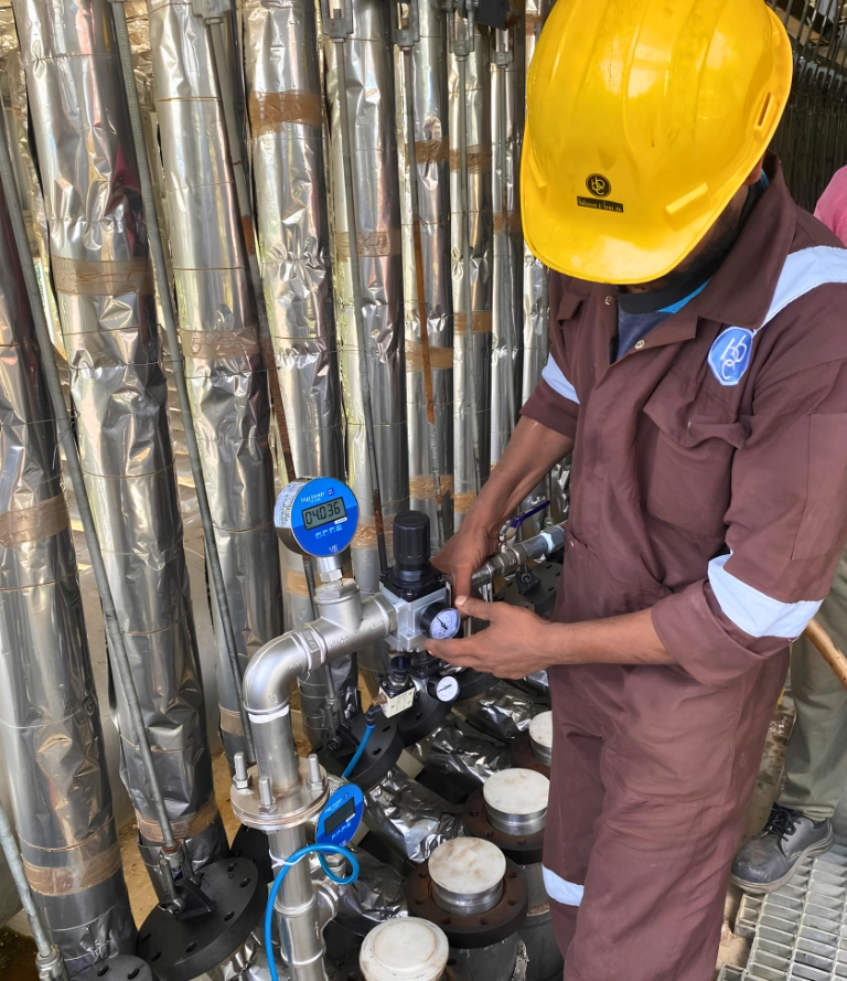 Routine Plant Maintenance